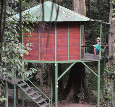 Treehouse la Rana